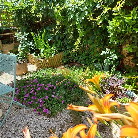 Premantura Studio Apartman